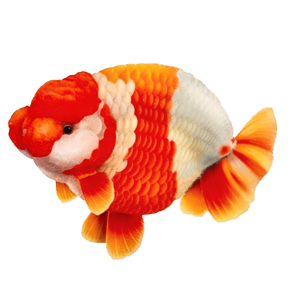 Mê Cá Vàng